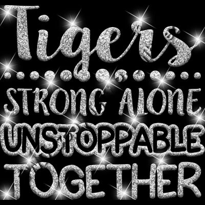 GLT87   SILVER GLITTER Thumbnail