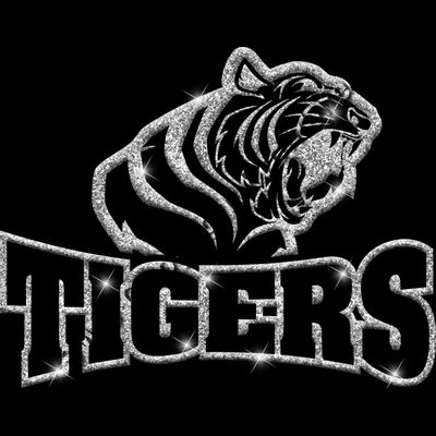 GLT32 SILVER GLITTER Thumbnail