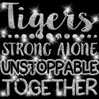 GLT87   SILVER GLITTER Thumbnail