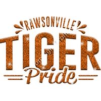 GLT62 ORANGE GLITTER Thumbnail